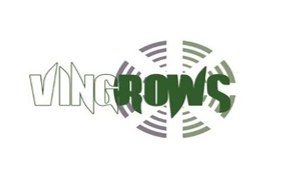 Vingrows Business Solutions